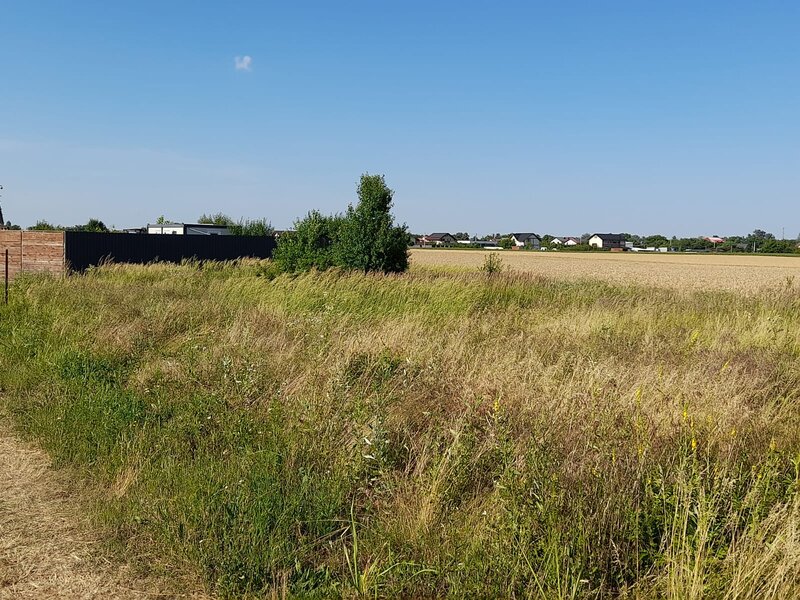 Ciorogarla, Ilfov