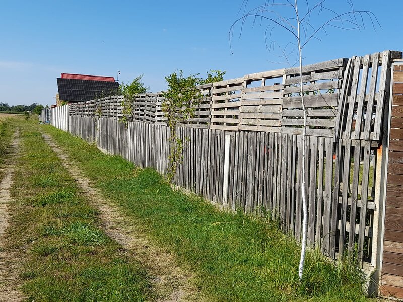 Ciorogarla, Ilfov